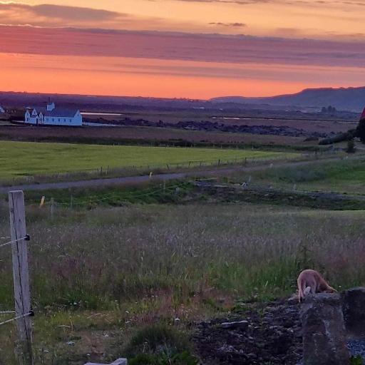Cosy Cottage In The Countryside Kiðagil المظهر الخارجي الصورة